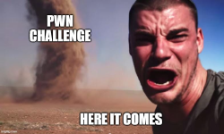 Featured image of post pwnable orw & yuawn orw Writes up